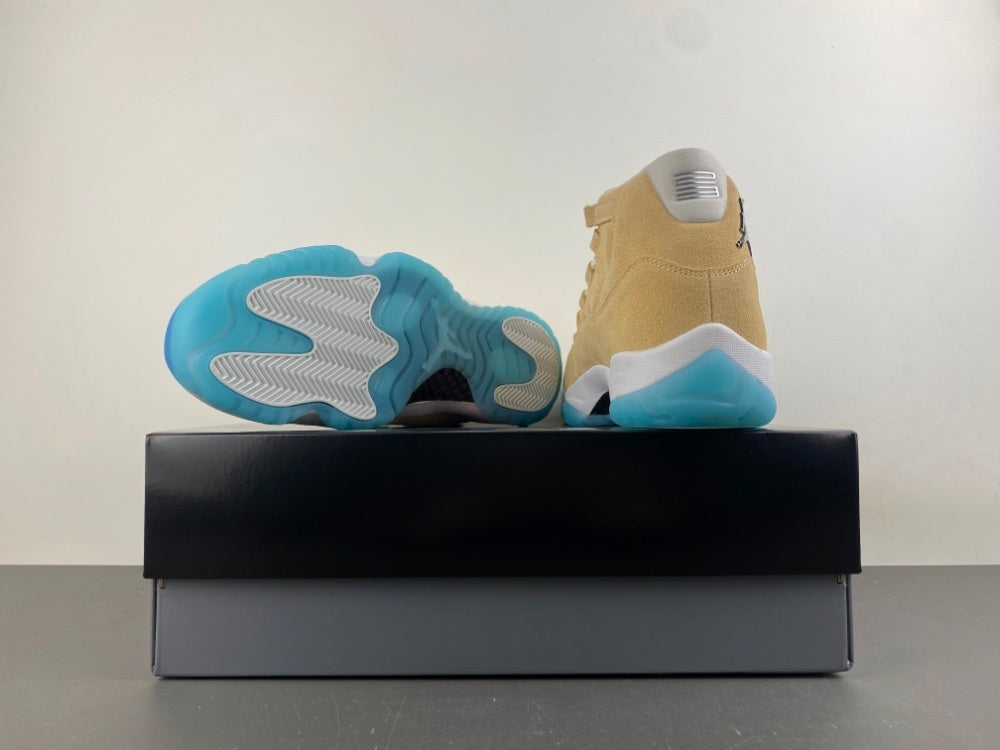 Air Jordan 11 Retro H-Town