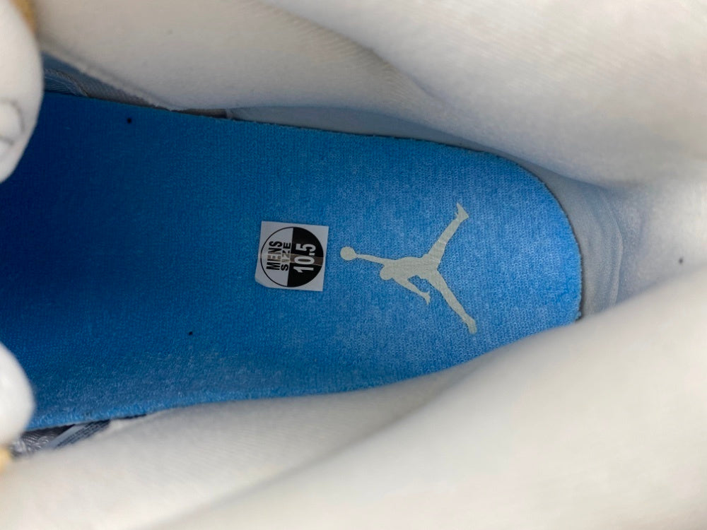 Air Jordan 11 Retro H-Town
