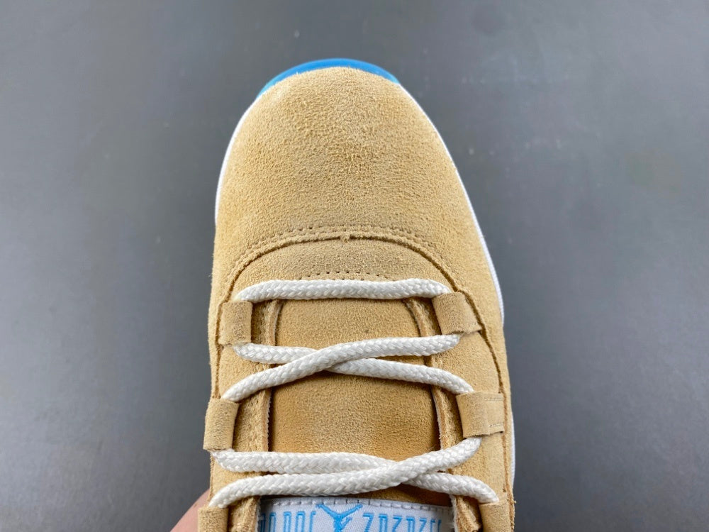 Air Jordan 11 Retro H-Town