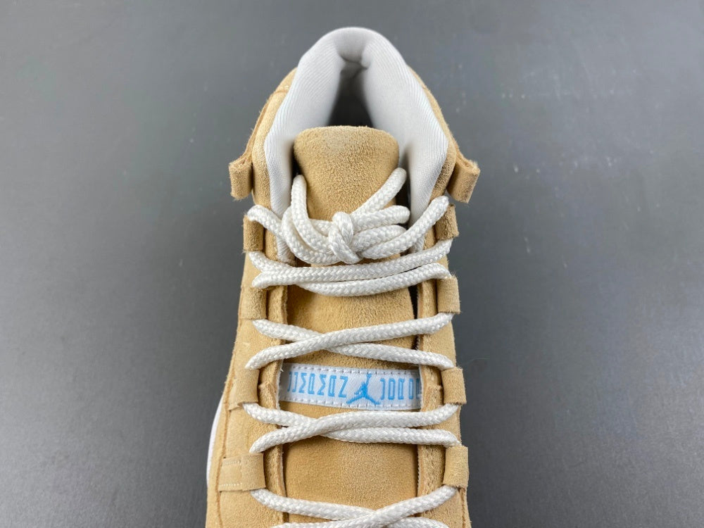 Air Jordan 11 Retro H-Town