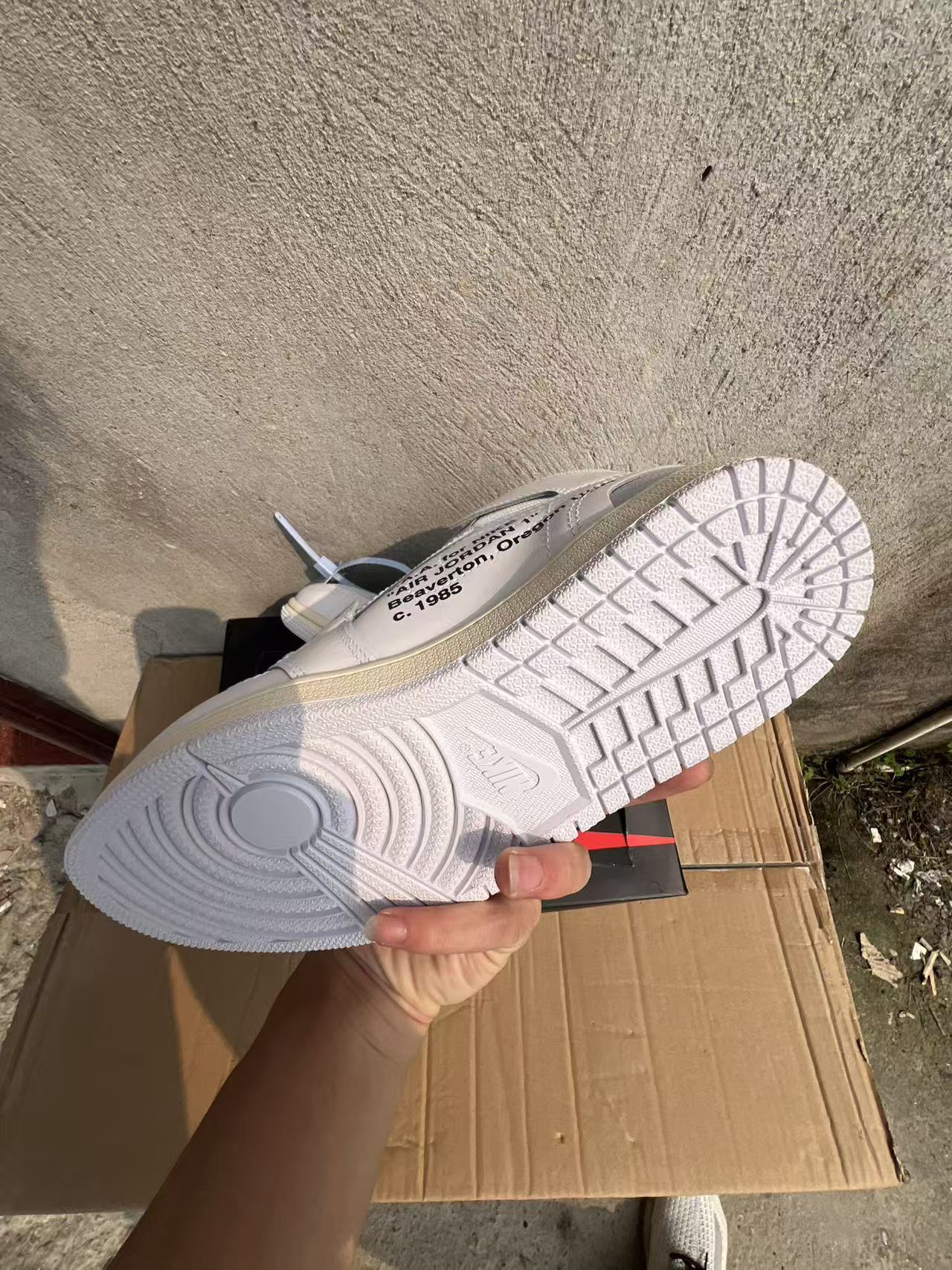 Off-White x Air Jordan 1 Alaska